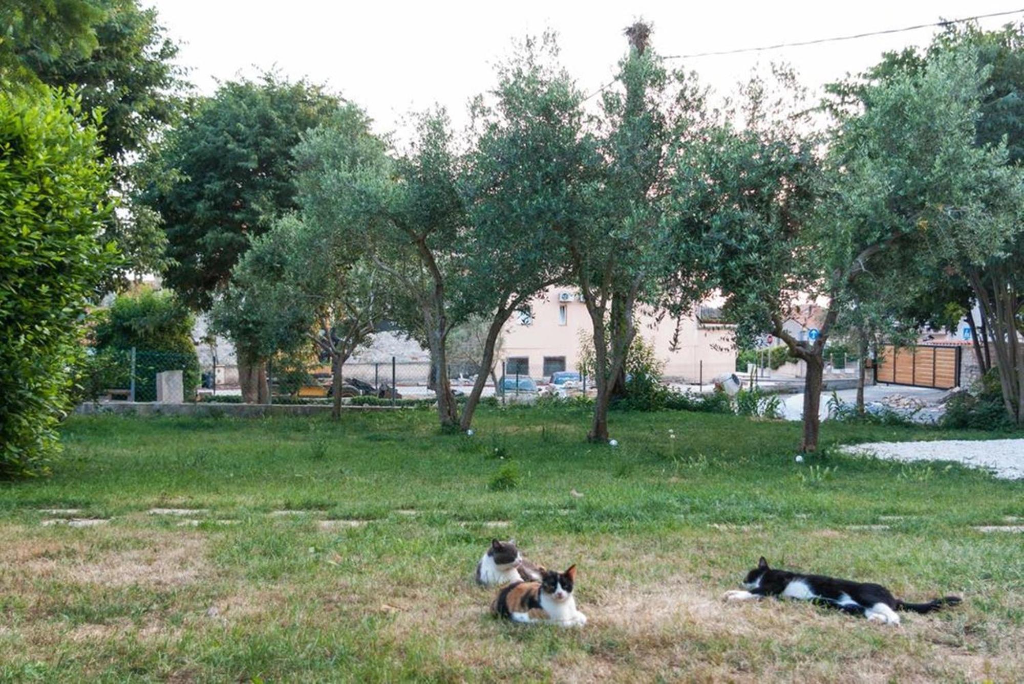 Villa Mediterranea - Apartments Medulin Cameră foto
